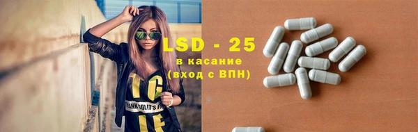 стафф Алзамай