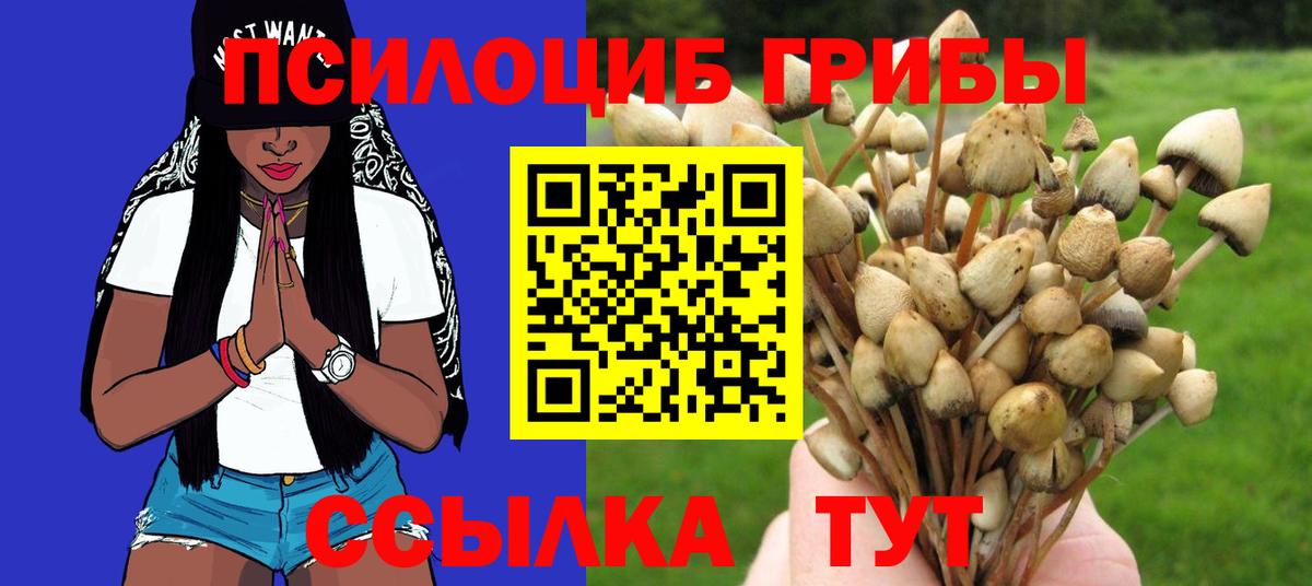 Псилоцибиновые грибы MAGIC MUSHROOMS Егорьевск