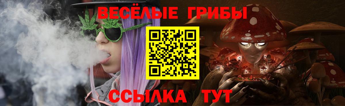 Галлюциногенные грибы Cubensis  даркнет сайт  Егорьевск  Вход с VPN  Псилоцибиновые грибы мицелий 